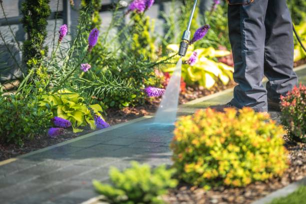 Best Animal Enclosure Cleaning  in Madisonville, KY